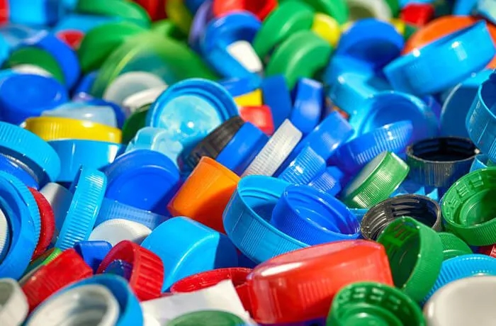 Ile kosztują nakrętki w skupie? Sprawdź, ile możesz zarobić